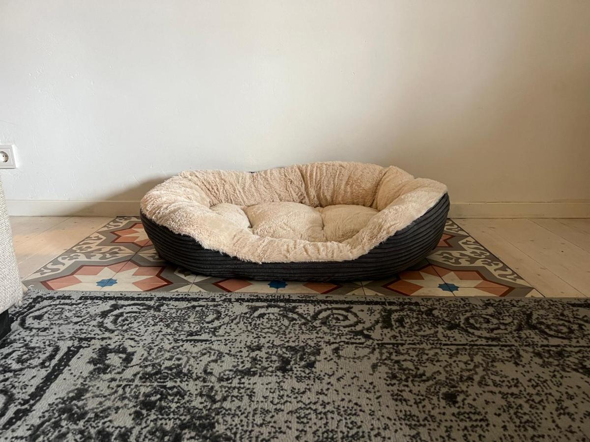 B&B Appartement Rebel And Moon In Het Centrum Van Alblasserdam Ngoại thất bức ảnh